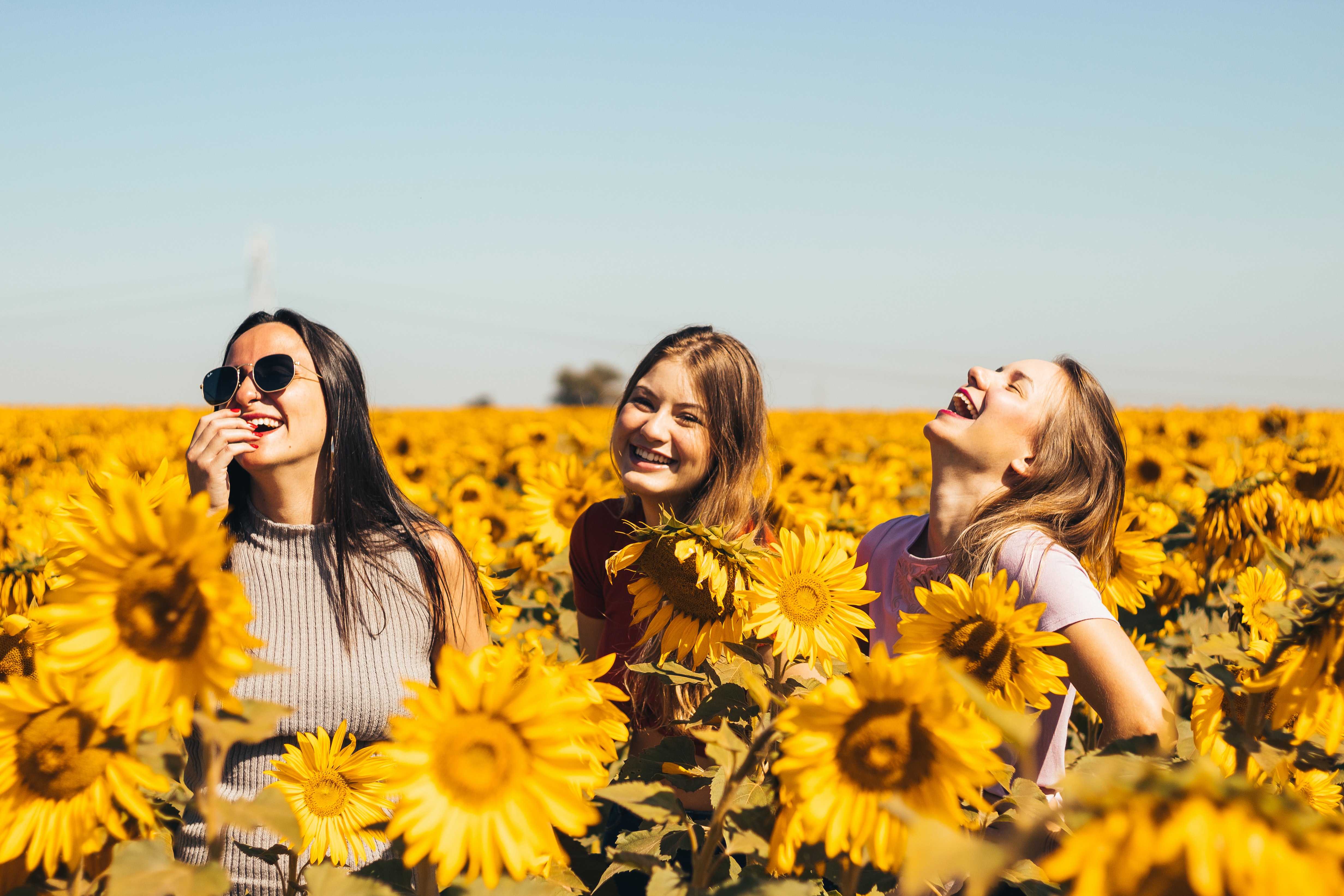 A group of young women looking happy in a field of yellow flowers